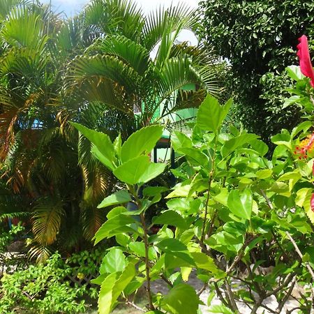 Hotel Posada Del Mar Fresh Water Bay ภายนอก รูปภาพ