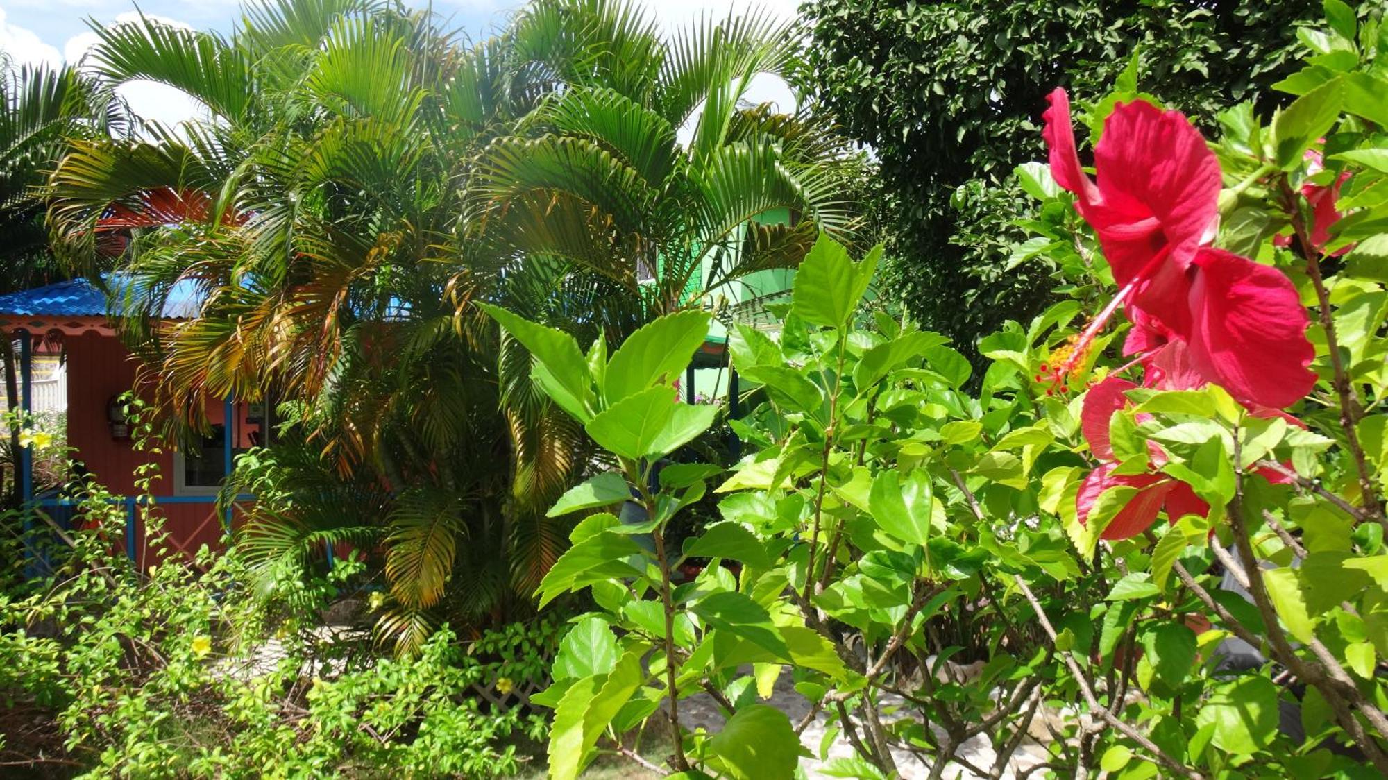 Hotel Posada Del Mar Fresh Water Bay ภายนอก รูปภาพ